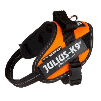 Julius K9 Oransje IDC Hundesele