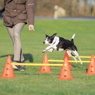 Trixie Agility Hindersett - 3 hinder