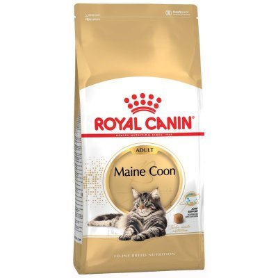 Royal Canin Maine Coon