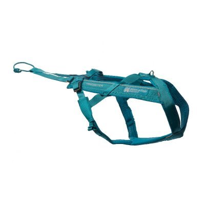 Non-Stop Dogwear Freemotion Harness 5.0 Hundesele Teal