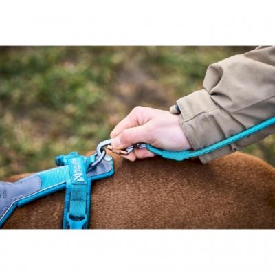 Non-Stop Dogwear Trekking Rope Leash Teal Hundebånd